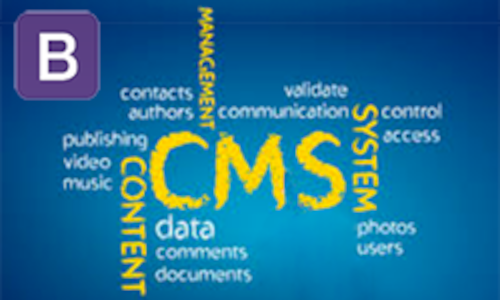 cms with bootstrap
